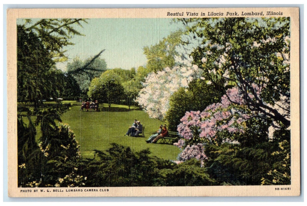 c1930's Restful Vista in Lilacia Park, Lombard Illinois IL Vintage Postcard