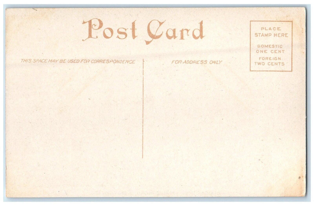 c1910's Perkins Street View Looking South Rushville Indiana IN Antique Postcard