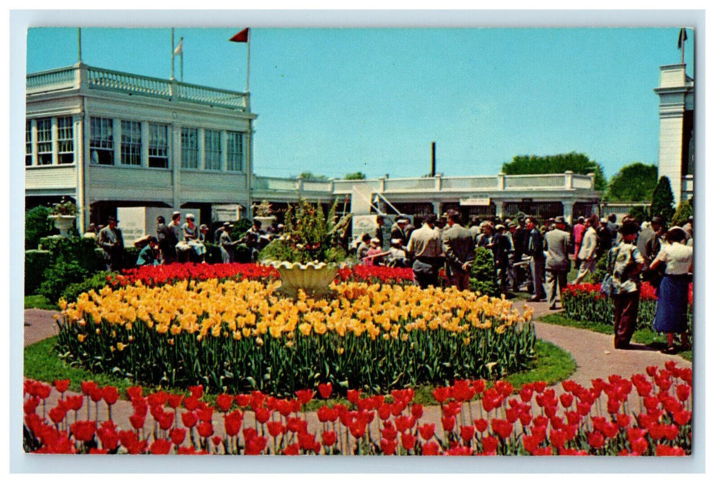 c1950s Flower Garden at Churchill Downs, Derby, Louisville Kentucky Postcard