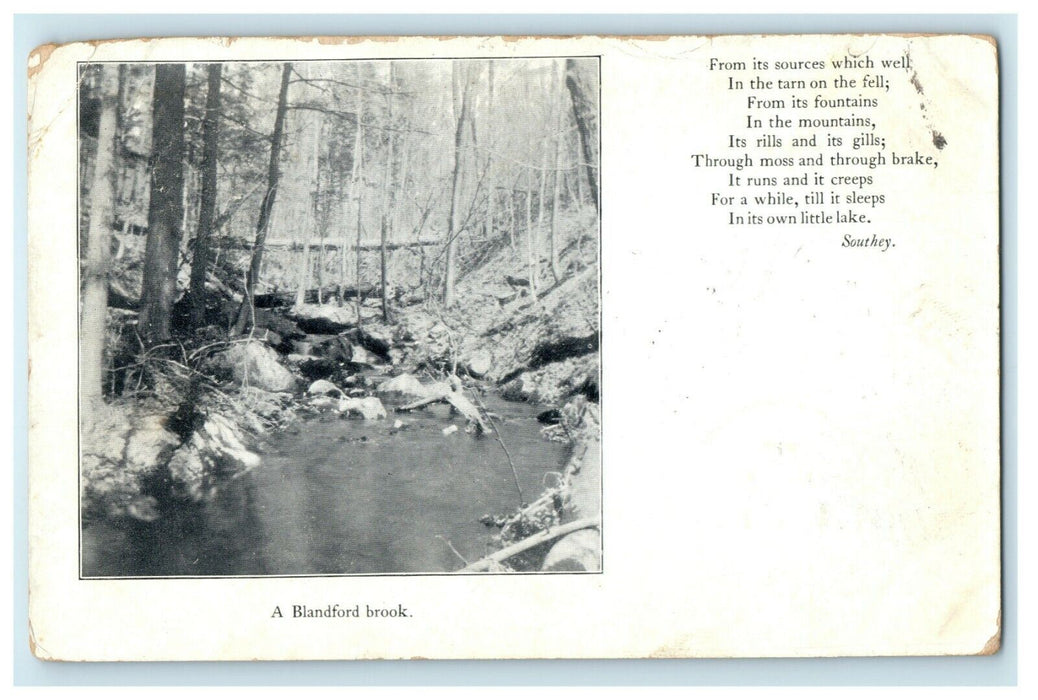 1906 Blandford Brook Poem Chester-Blandford State Forest Massachusetts Postcard