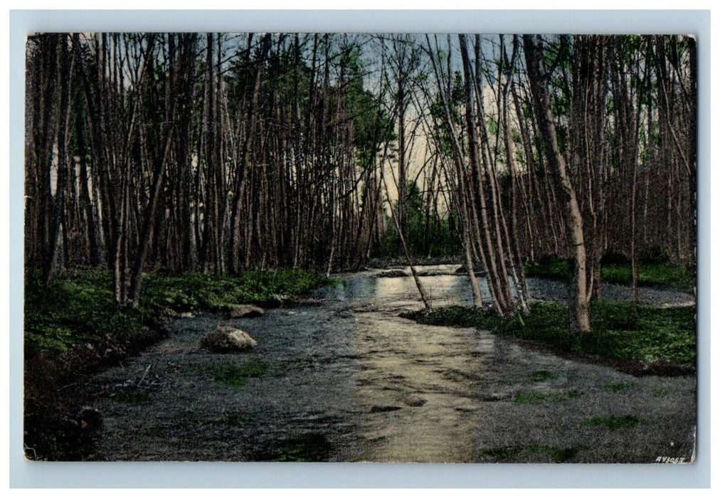 1913 Monoosnock Brook, Leominster Massachusetts MA Posted Postcard