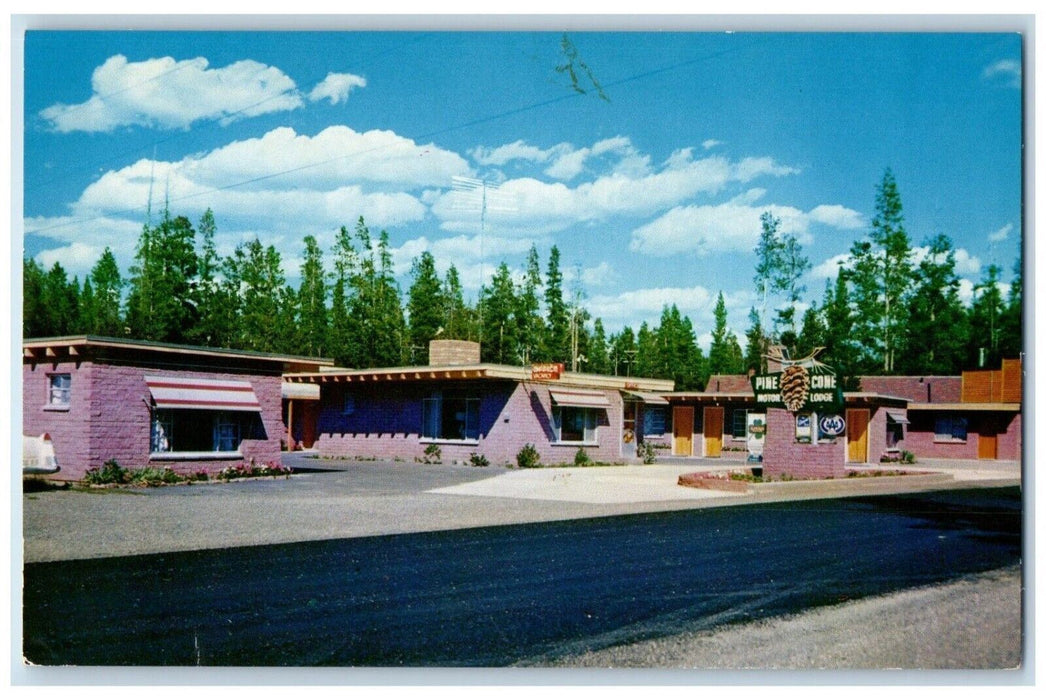 c1960's Pine Cone Motor Lodge West Yellowstone Montana MT Vintage Postcard