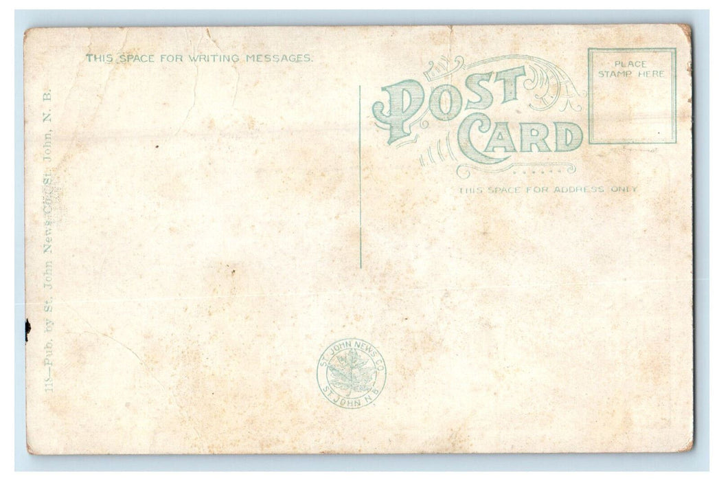c1910 Duck Cove Bay Shore St. John New Brunswick Canada CA Foreign Postcard