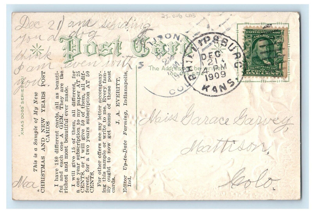 1909 Merry Xmas Dog Labrador Head Bite Holly Berries Ribbon Embossed Postcard