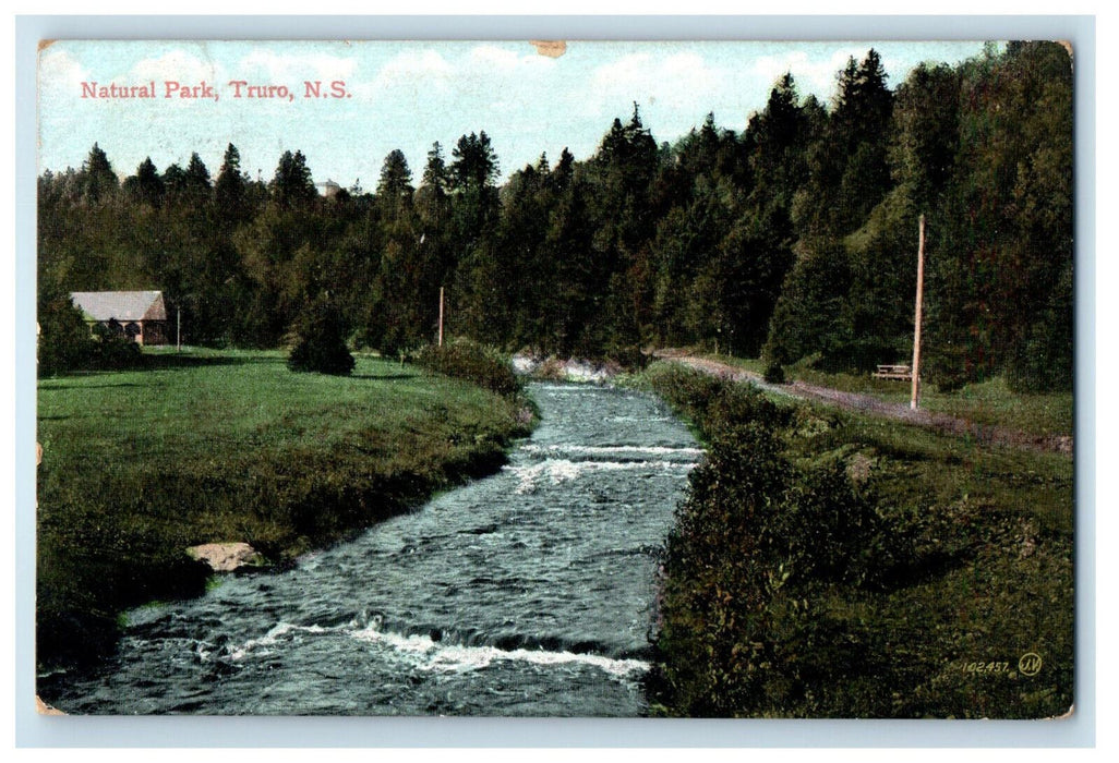 1907 Natural Park Truro Nova Scotia, Canada CA Posted Antique Postcard