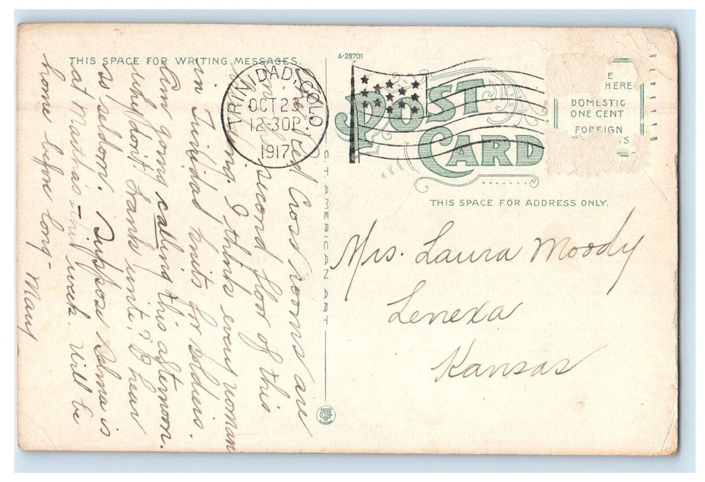 1917 City Hall Building Street View Trinidad Colorado CO Posted Antique Postcard