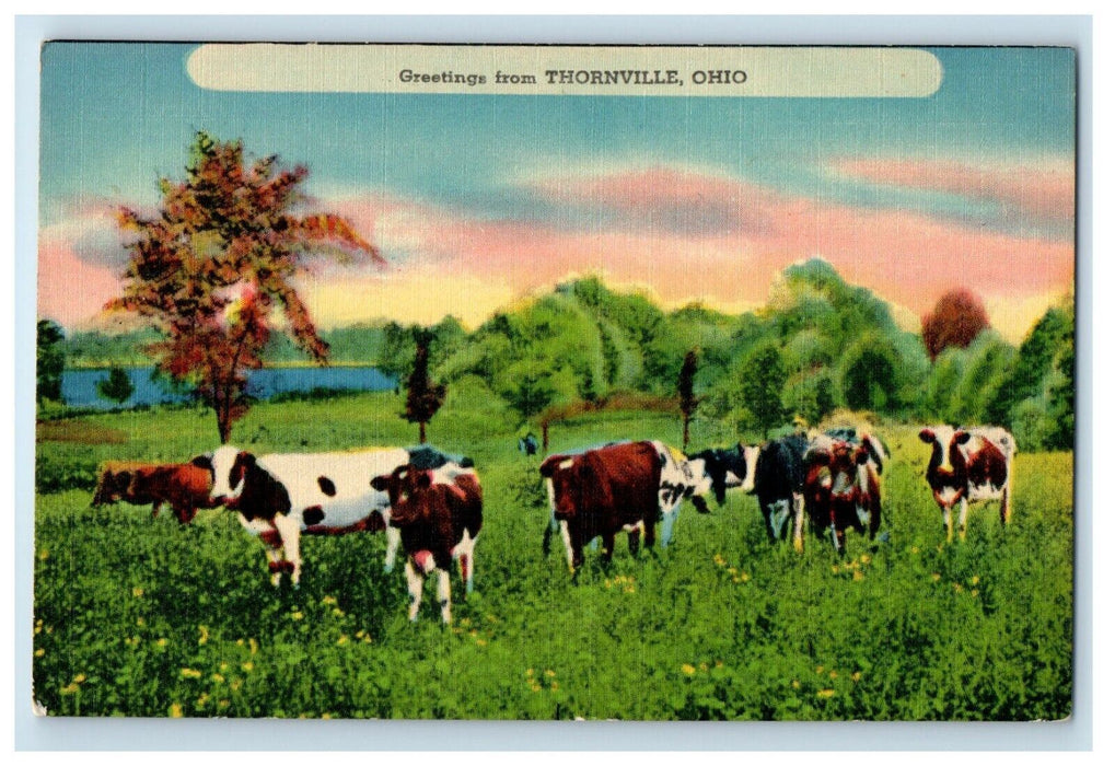 c1910's Greetings From Thornville Ohio OH, Cows Unposted Antique Postcard