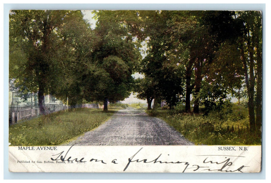 1908 Maple Avenue Sussex New Brunswick Canada CA Foreign Postcard