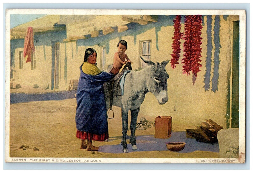 c1910's The First Riding Lesson Arizona AZ Mother Child Donkey Phostint Postcard