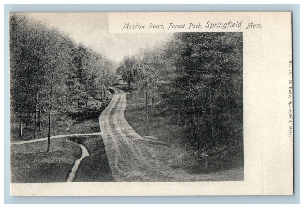 c1905 Meadow Road Forest Park Springfield Massachusetts MA Postcard
