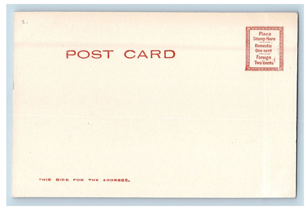 c1905 Meadow Road Forest Park Springfield Massachusetts MA Postcard