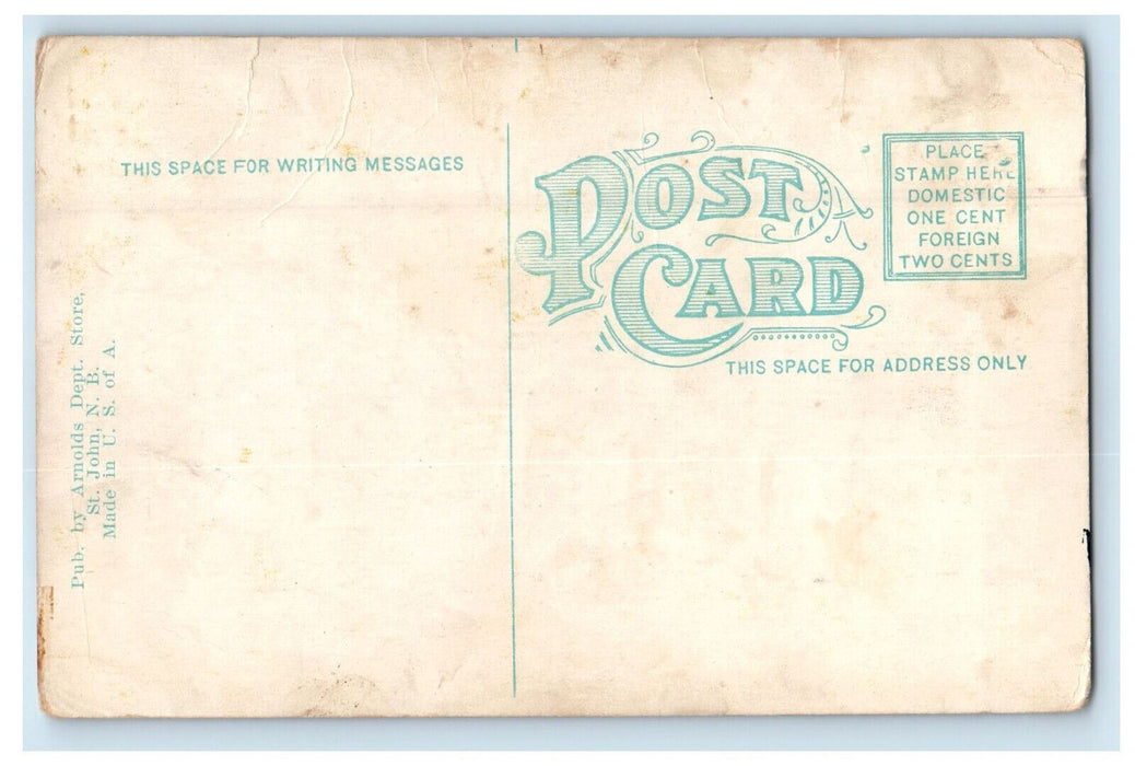 c1910 King Square St. John New Brunswick Canada CA Antique Postcard
