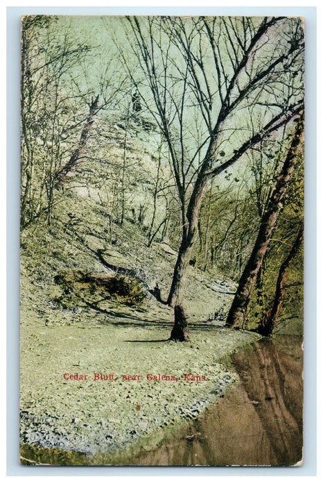 1912 Withered Trees, Cedar Bluff Near Galena Kansas KS Posted Antique Postcard