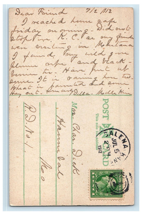 1912 Withered Trees, Cedar Bluff Near Galena Kansas KS Posted Antique Postcard