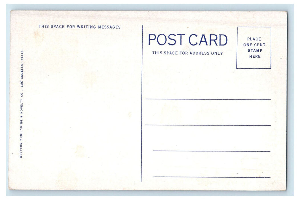 c1920s Boulder Canyon Damsite Colorado River CO Unposted Postcard