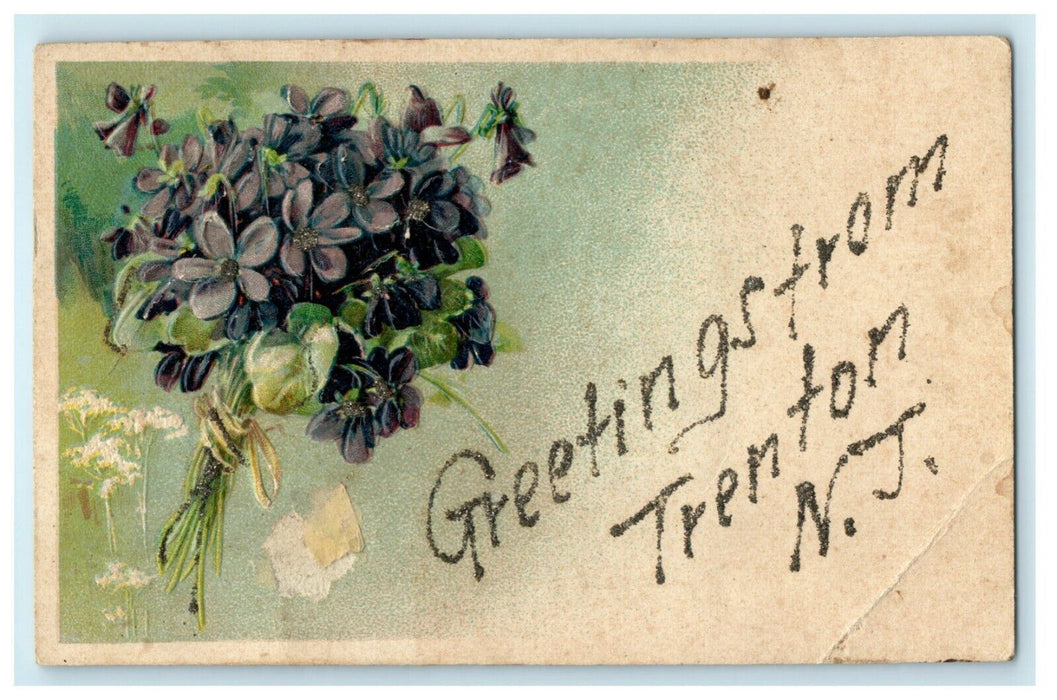 1909 Greetings From Trenton New Jersey NJ Glitter Flowers Embossed Postcard