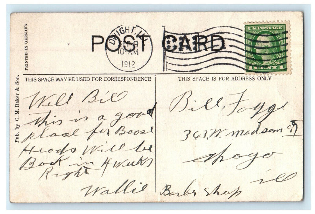 1912 Looking North West from Tower Aerial View of Dwight Illinois IL Postcard