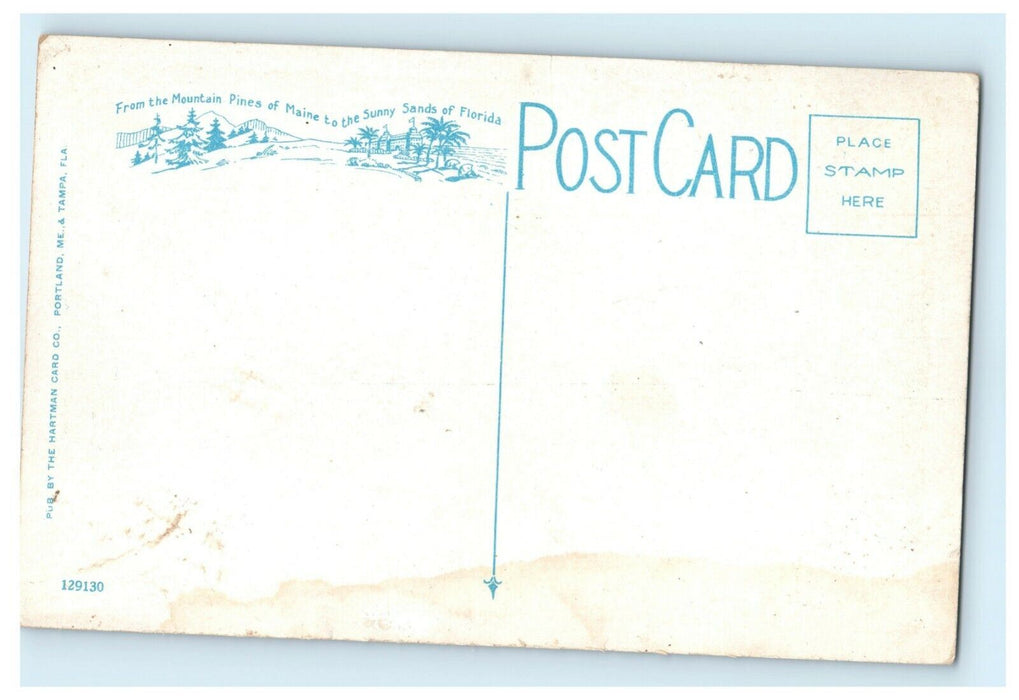 c1920's Zebras Ringling Bros. Winter Quarters Sarasota Florida FL Postcard