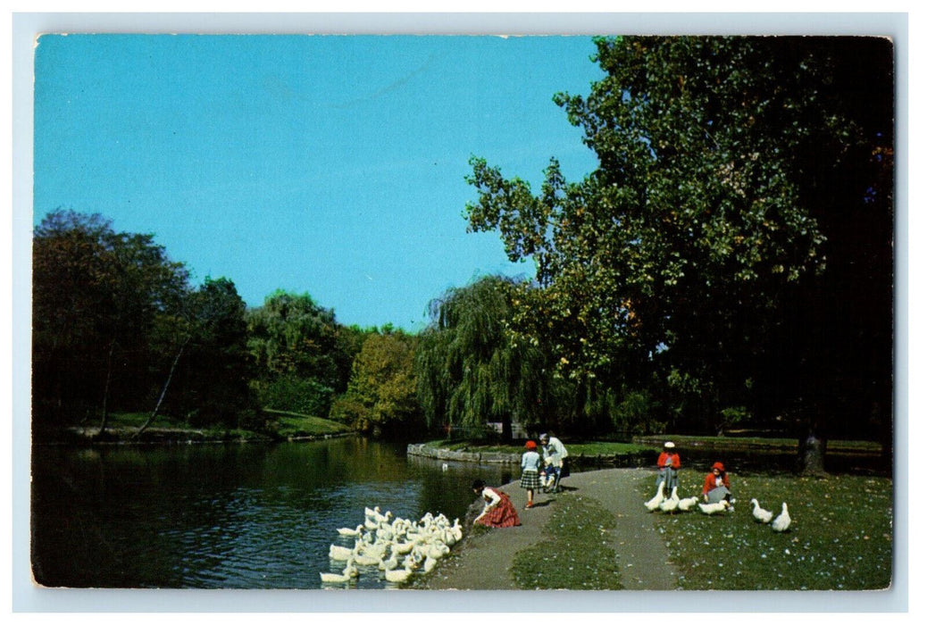 c1950s Feeding The Ducks at McKinley Park Canton Ohio Vintage Postcard