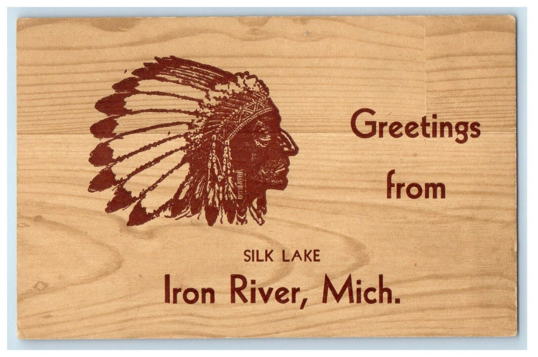 Greetings From Silver Lake Iron River Michigan MI Unposted Vintage Postcard