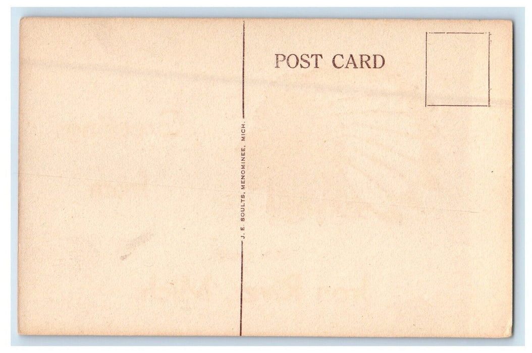 Greetings From Silver Lake Iron River Michigan MI Unposted Vintage Postcard