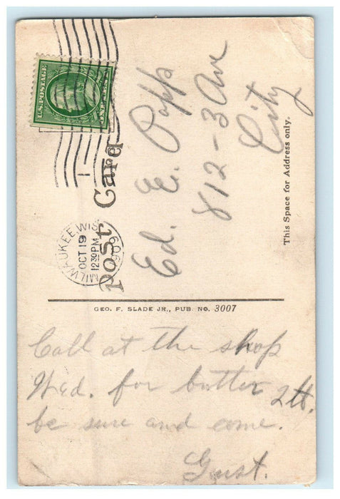 1909 Tall Trees and a Cove at Lake Sunapee Lake New Hampshire NH Postcard