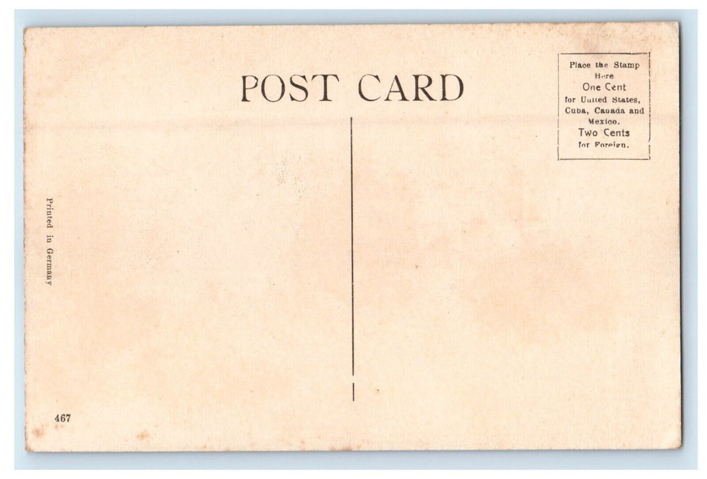 c1910's Court House Building Freeport Illinois IL Unposted Antique Postcard