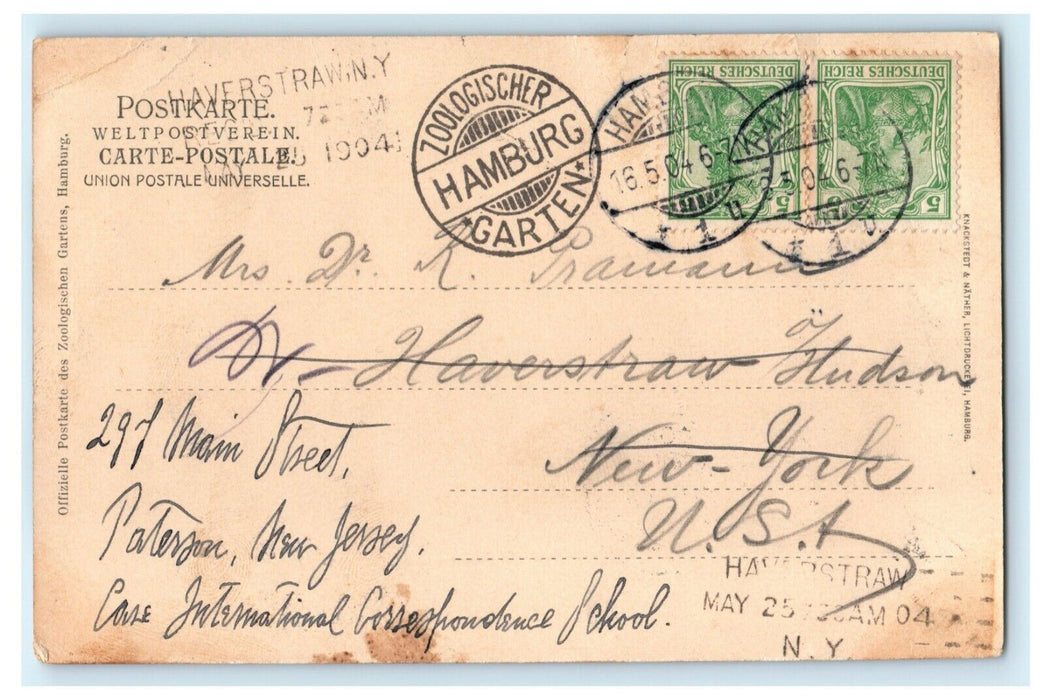 1904 Berlin Zoological Garden to Haverstraw New York NY Monkey Germany Postcard