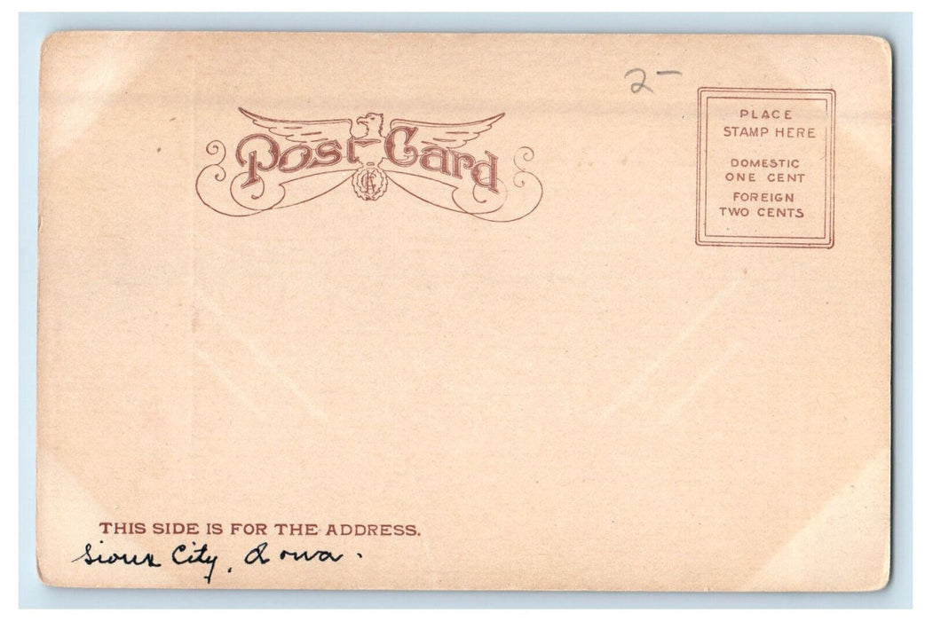 1896 Council Oak Tree, Sioux City Iowa IA E.C. Kropp Unposted Antique Postcard