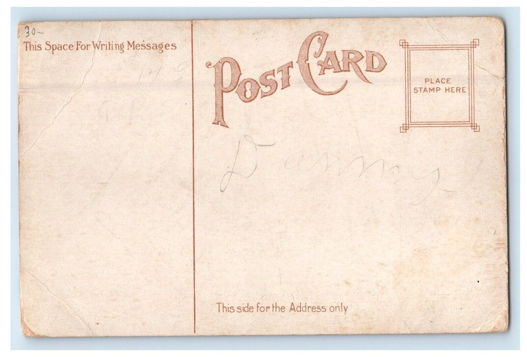 1909 Lieut. Robert E. Peary Arctic Explorer Steamer Roosevelt Unposted Postcard