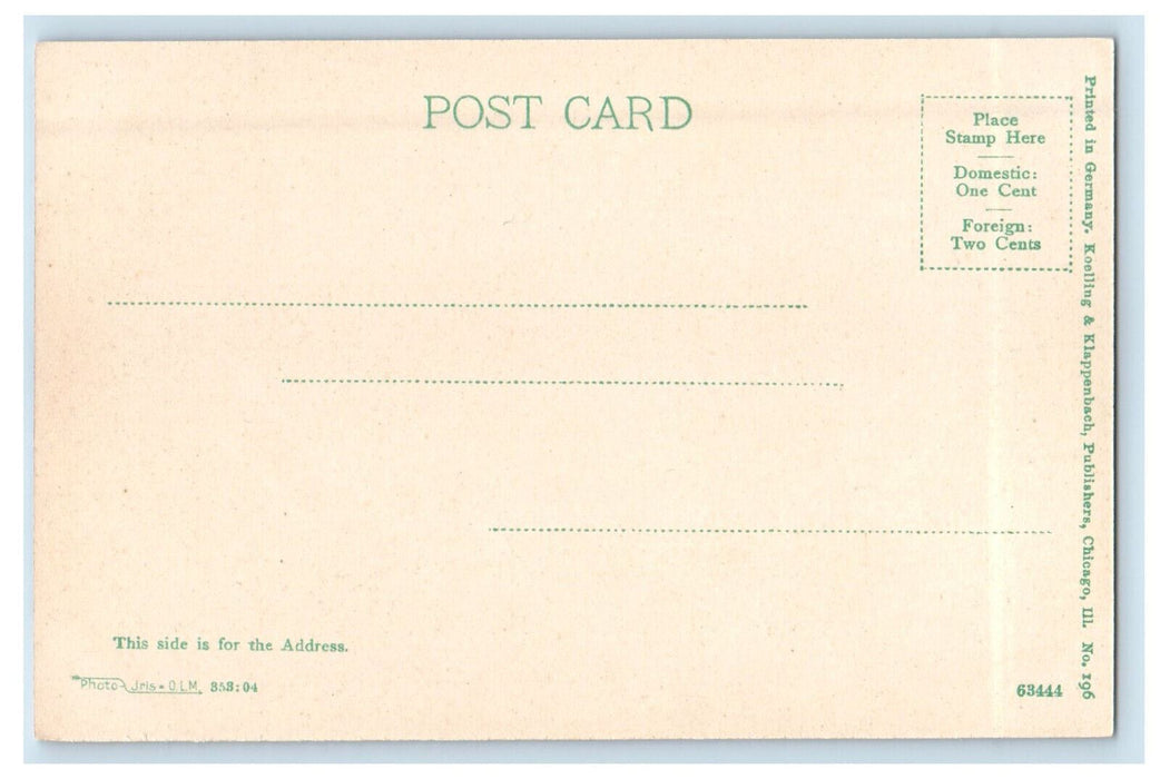 c1905 Two Canoe Boats Pavilion in Humboldt Park, Chicago Illinois IL Postcard