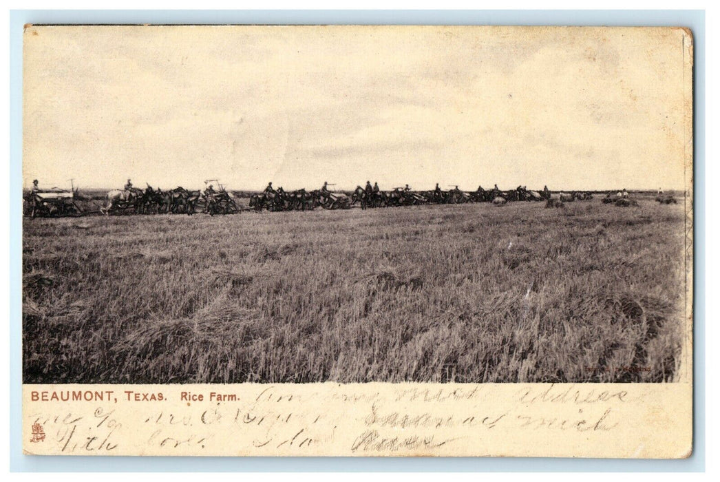 1908 Rice Farm Beaumont Texas TX Farming Tuck Silverette Posted Postcard