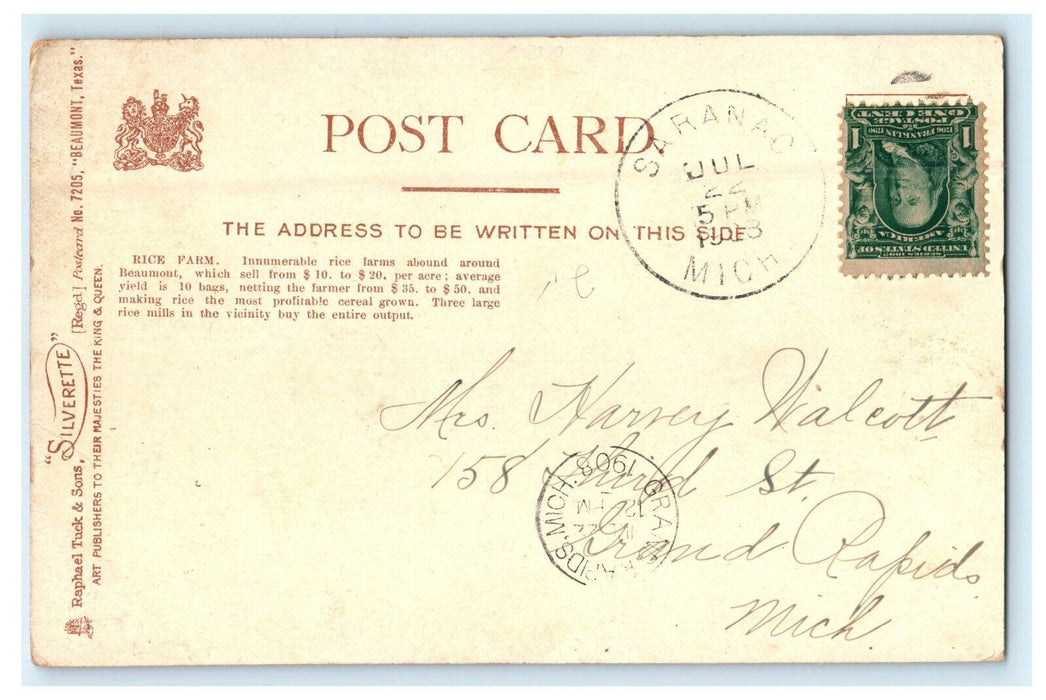 1908 Rice Farm Beaumont Texas TX Farming Tuck Silverette Posted Postcard