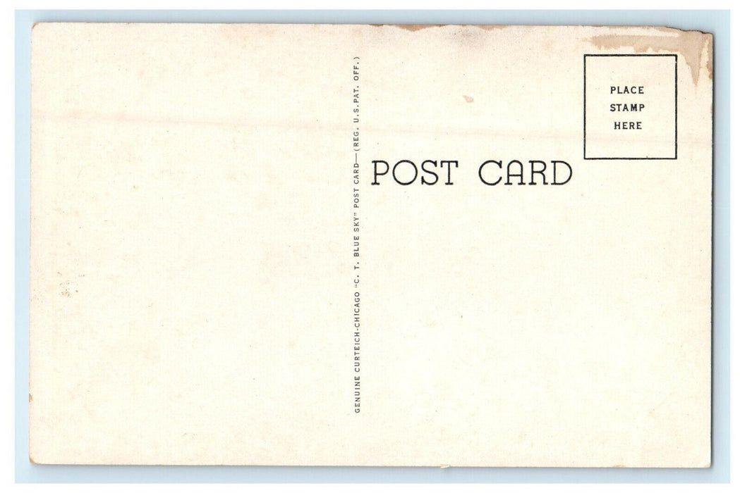 c1940's View Of Radio Springs Nevada Missouri MO Unposted Vintage Postcard