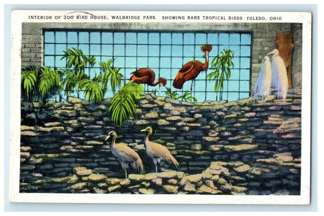 1937 Interior of Zoo Bird House Walbridge Park Toledo Ohio OH Postcard