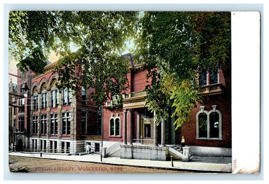 1906 Trees in Public Library, Worcester Massachusetts MA Antique Postcard