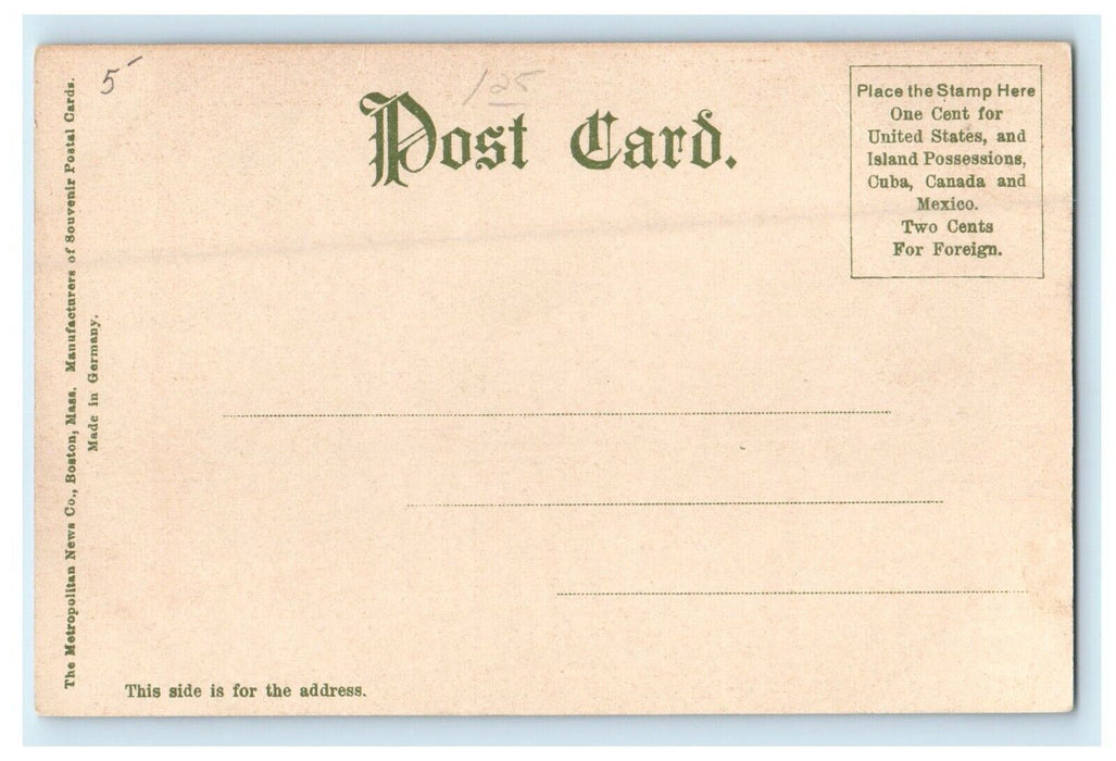 1906 Trees in Public Library, Worcester Massachusetts MA Antique Postcard