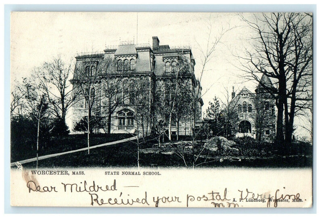 1905 State Normal School and Trees, Worcester Massachusetts MA Postcard