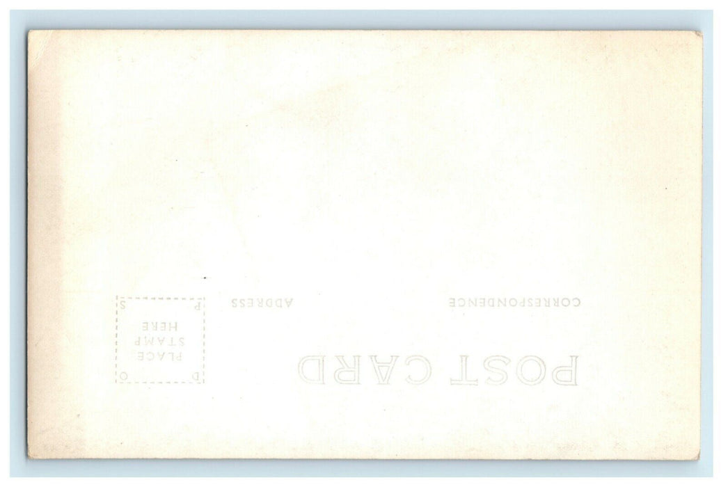 c1940's Redwood Highway Oregon California Trees RPPC Photo Postcard