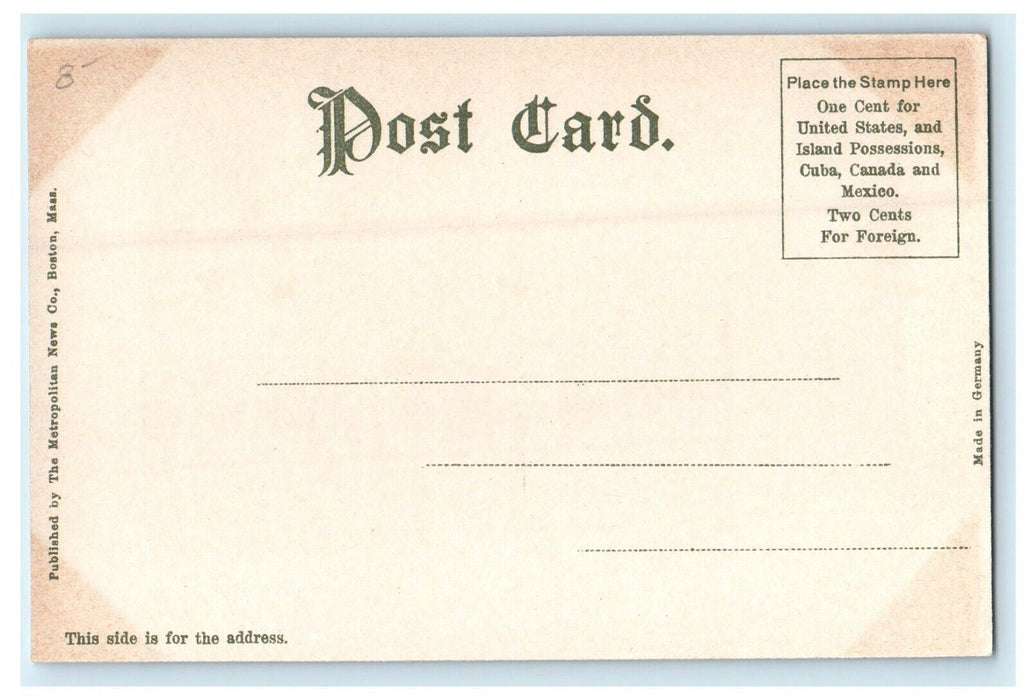 1906 Public Library View from Tree, Worcester, Massachusetts MA Postcard