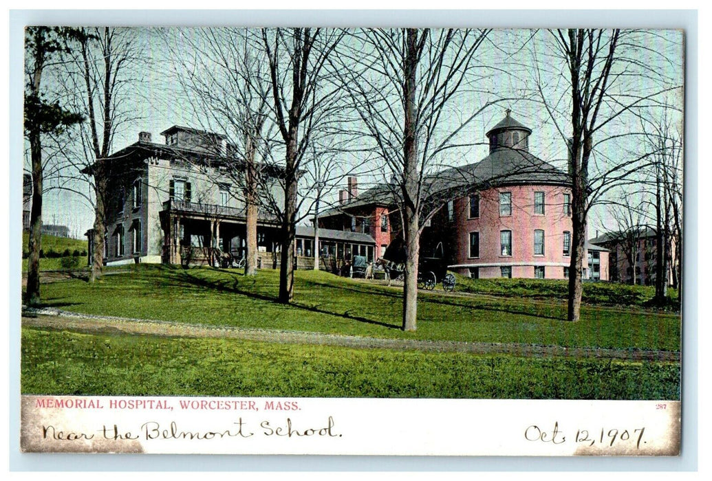1907 Tree View, Memorial Hospital, Worcester, Massachusetts MA Postcard