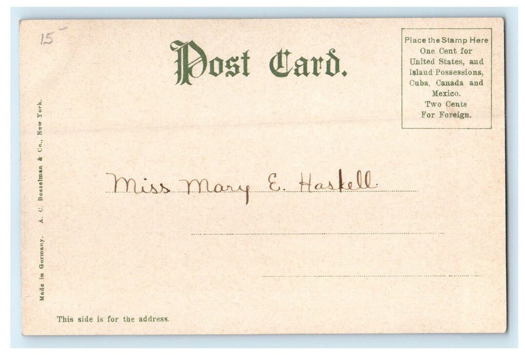 1907 Tree View, Memorial Hospital, Worcester, Massachusetts MA Postcard