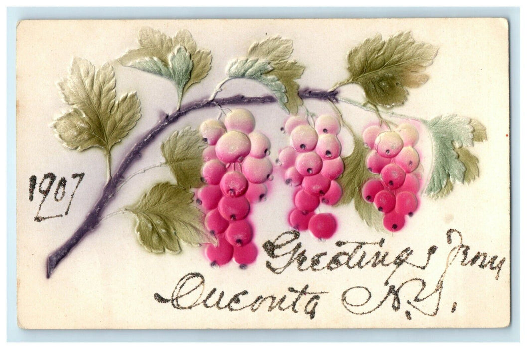 1907 Greetings From Oneonta New York NY Airbrushed Grapes Embossed Postcard