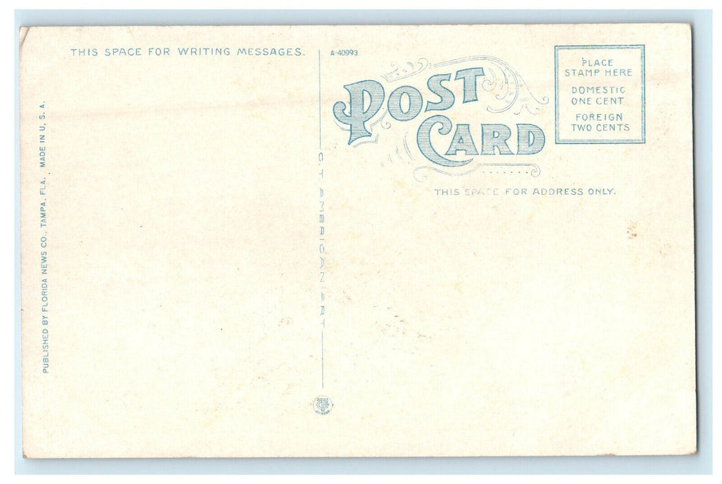 c1920s The Board Walk Ballast Point, Tampa Florida FL Unposted Postcard
