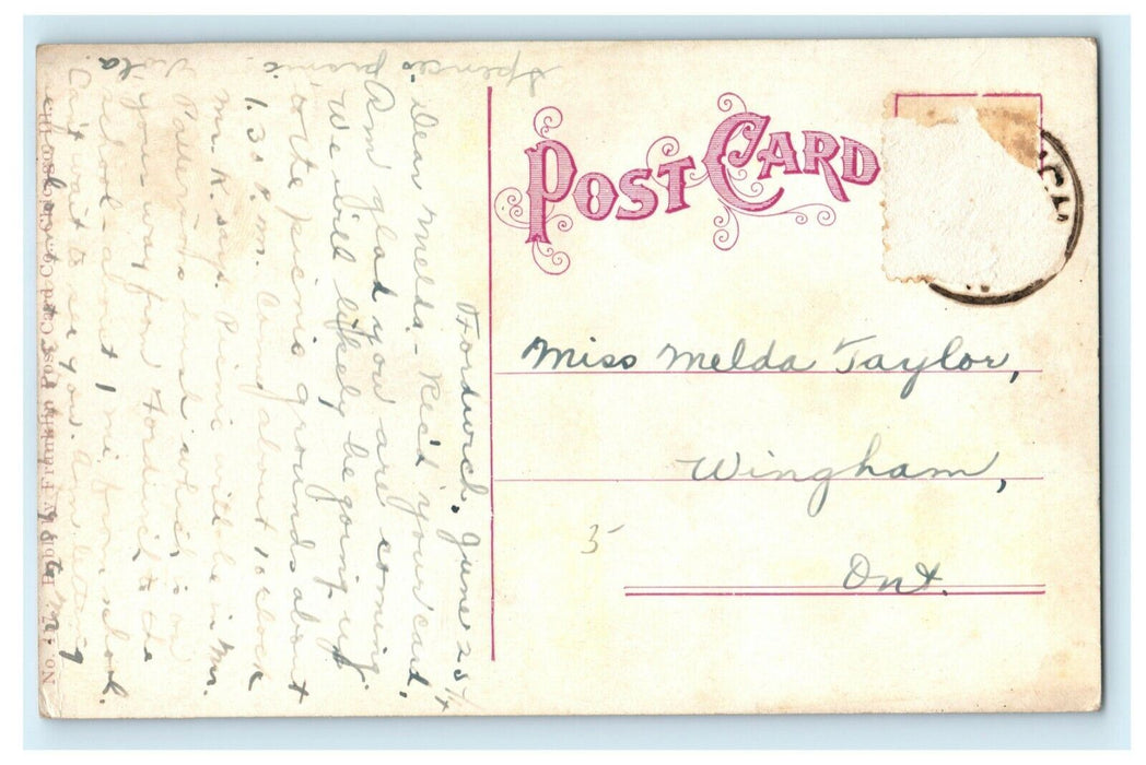 c1910 Zebu Sacred Ox of India Lincoln Park Chicago Illinois IL Zoo Postcard