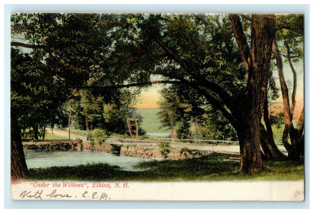 1906 Under the Willows Elkins New Hampshire NH Blodgett Lake Postcard