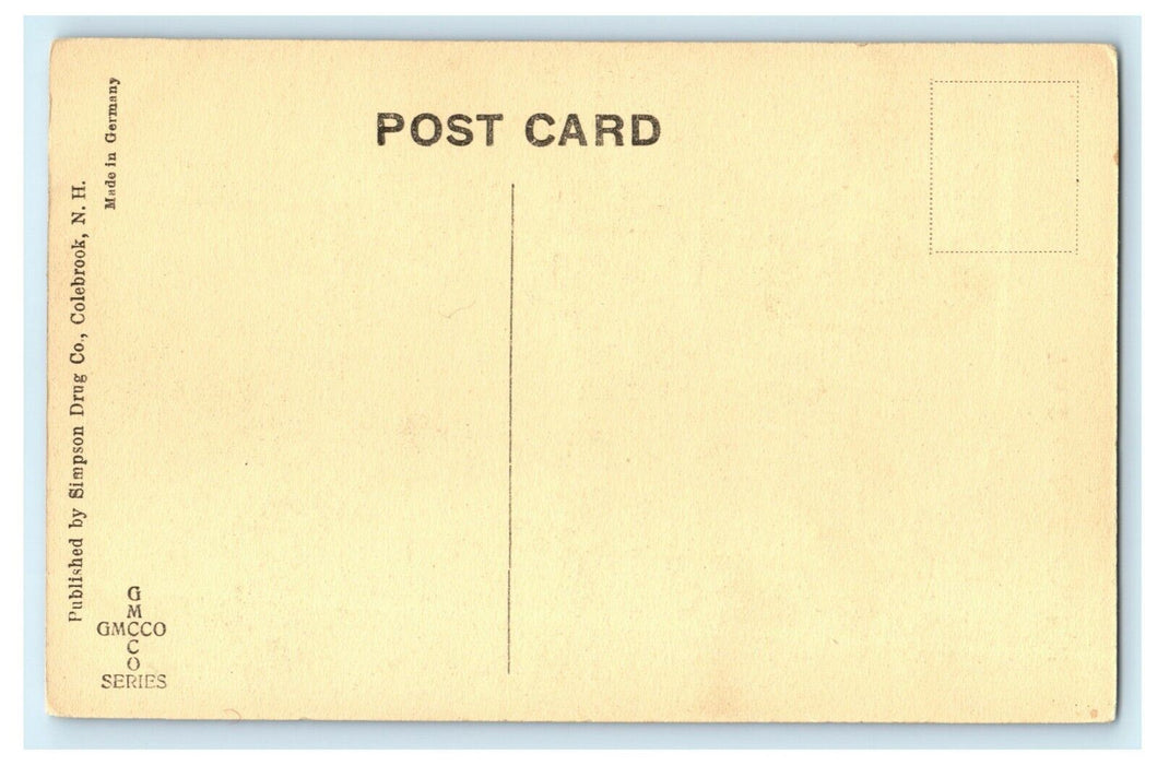 c1910 The Cascade Dixville New Hampshire NH Postcard