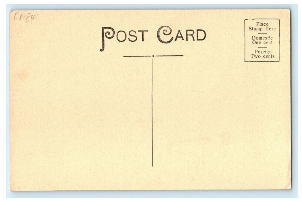 c1910 Auditorium Hotel River Round Top East Northfield Massachusetts MA Postcard