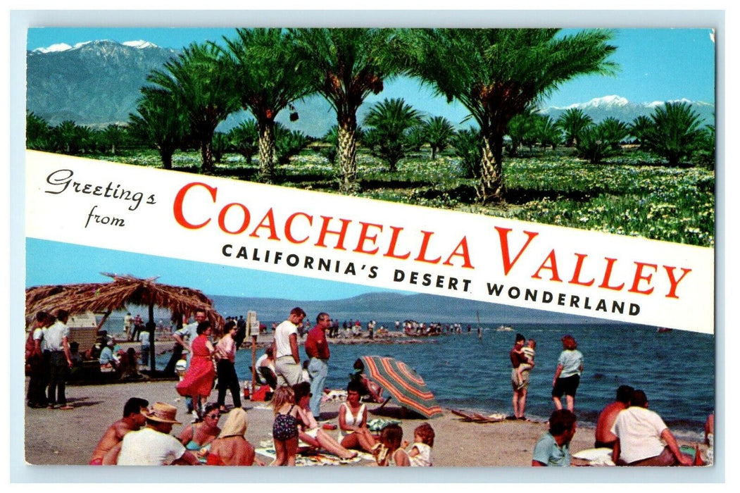 Greetings From Coachella Valley California CA Desert Wonderland Postcard