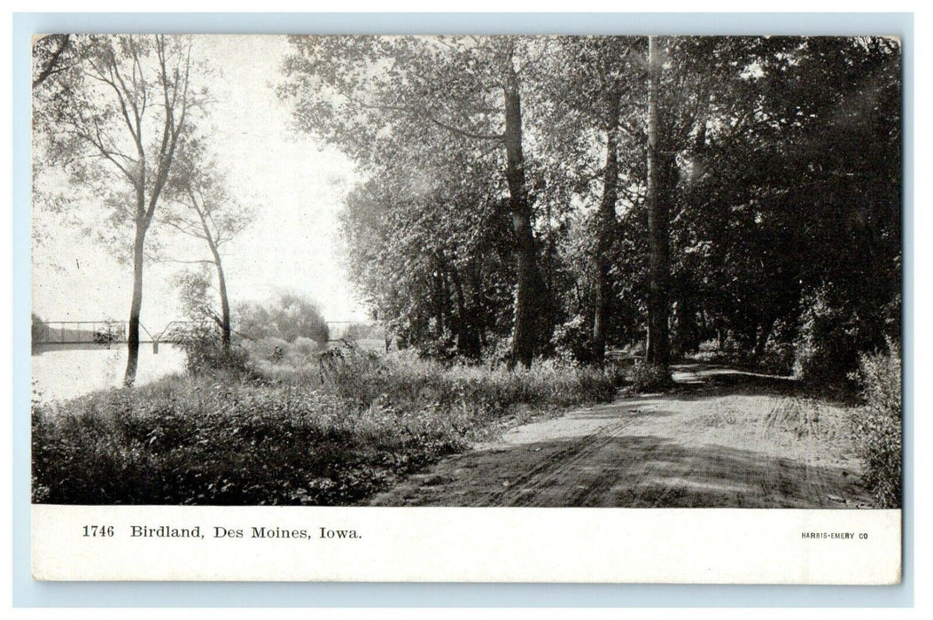 c1905 Birdland Dirt Road Des Moines Iowa IA Unposted Antique Postcard